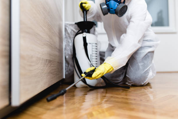 Best Ant Control Services  in Round Rock, TX