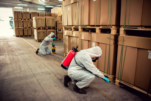 Best Affordable Pest Control Services  in Round Rock, TX