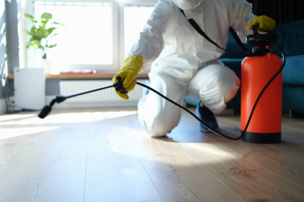 Insect Control in Round Rock, TX