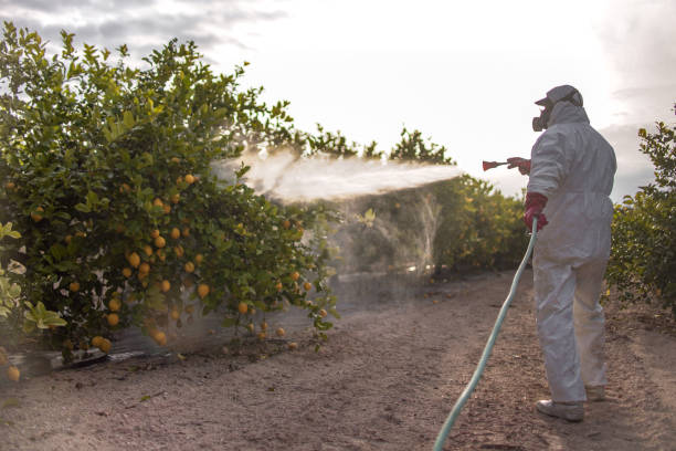 Best Pest Prevention Services  in Round Rock, TX