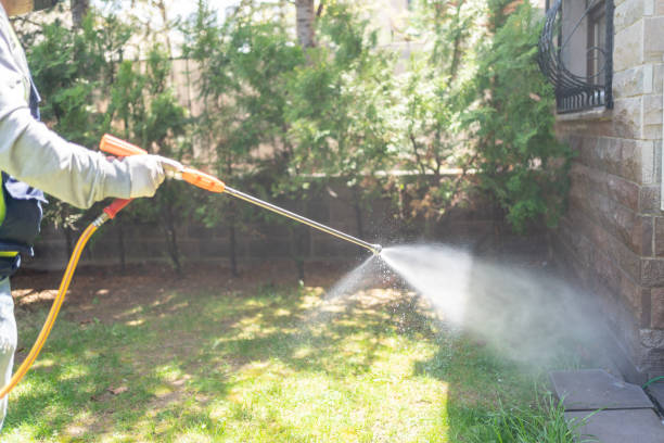 Best Emergency Pest Control  in Round Rock, TX