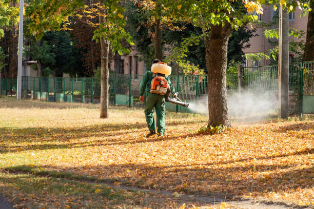 Best Affordable Pest Control Services  in Round Rock, TX